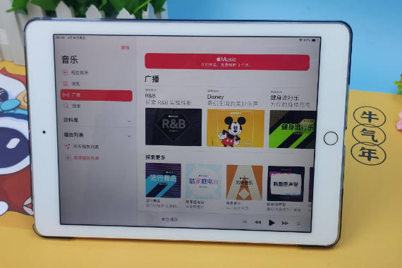 ѡϣָгڣɫiPad+ iPadֽĤ