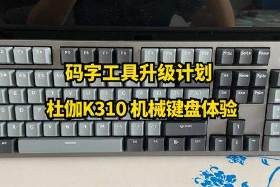 ֹƻ֮٤K310 е