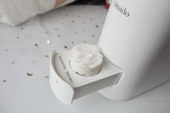 Ӽұر moidoܳʪ