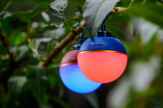ҹĶСɰObulb MCΧ