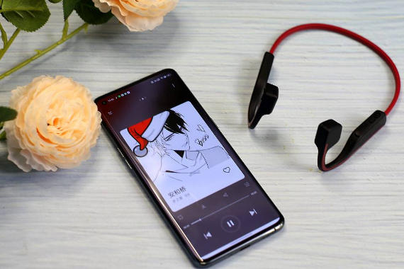 ô棬SanagؾѻA11S PRO