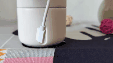 image (1).gif