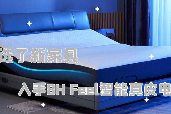 ·ѡ¼Ҿߣ8H FeelƤ綯X