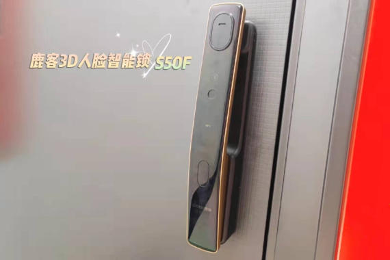Ʒ¹3DS50Fȫչʾ