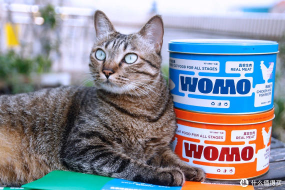 Ӳġɡ WOMOȫ۷èǶɵջ