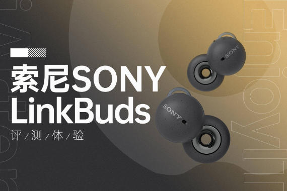 ߸ͳĶ̨SONY LinkBudsһ