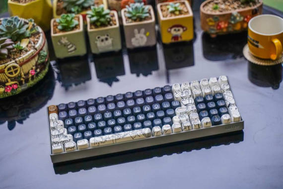 ʺãġС100Զ