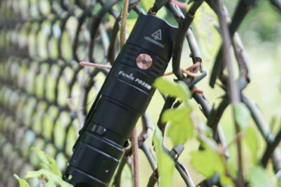 СͲʽСֱͲFenix PD25R
