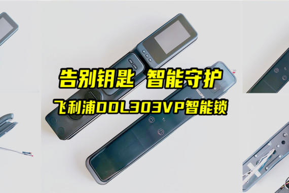 ԿػDDL303VPʹ