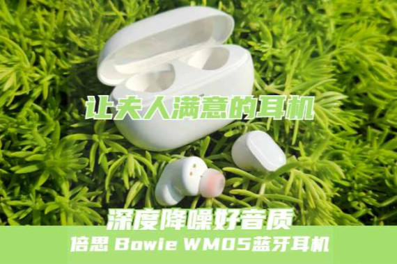 ͷˣ᲻ã˼ Bowie WM05ɹ