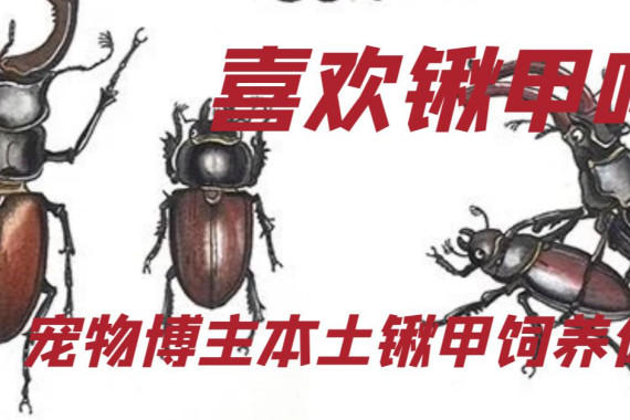 ϲ¼𣿳ﲩ¼