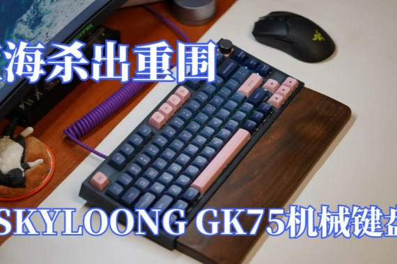 ̺캣ɱΧСSKYLOONG GK75е