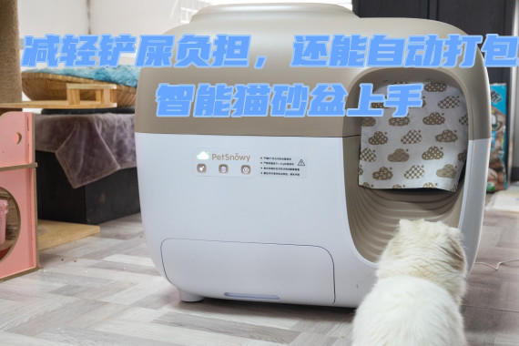 èɰѾѧԼʺǸè