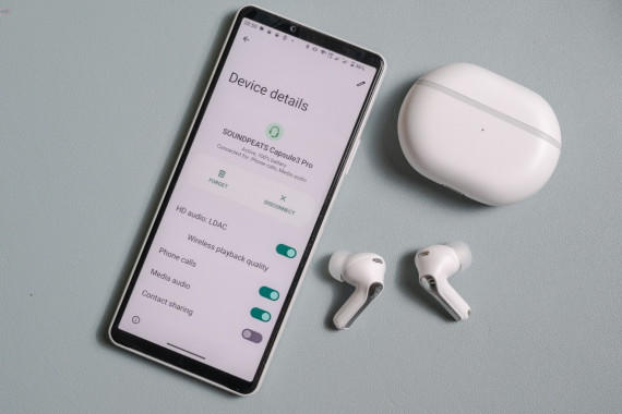 ɫõССӳ֣̿Capsule3 Pro