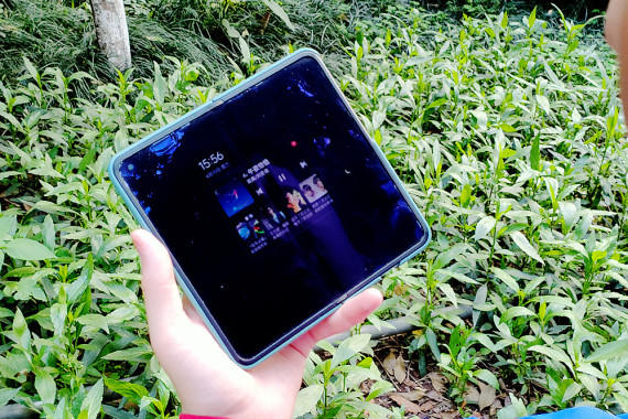 ԻColorOS 13ǻϢ淨