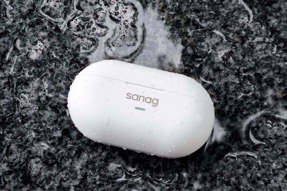 sanagZ36S Pro Maxʽ·ʽ ˶