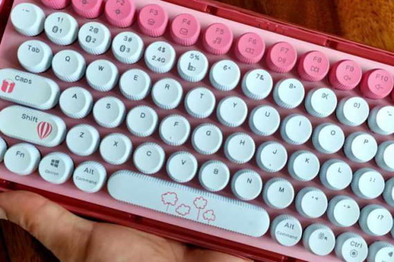 ϦΪװralemo Pre 5ģ߻е