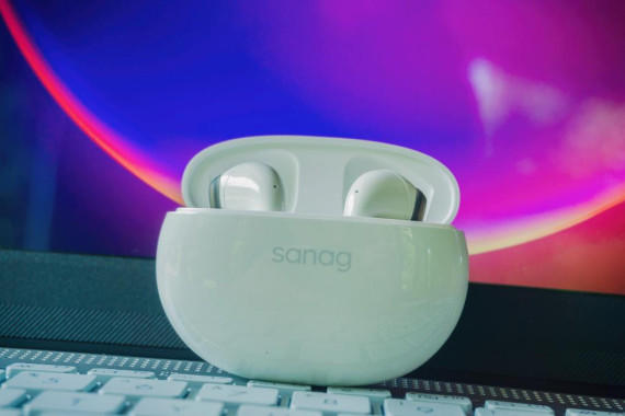 ֻţsanagT81S ¼