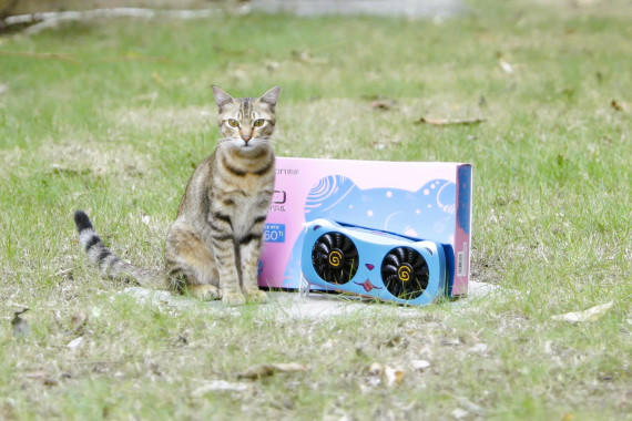 ѡԿе㡰èӯͨRTX4060Tiȳ