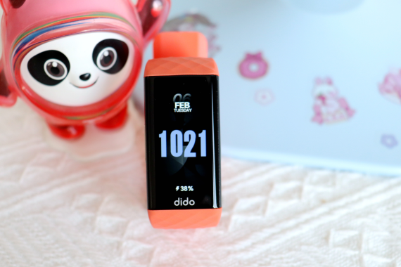 Dido P1S Proֻ Ƽʱеײ