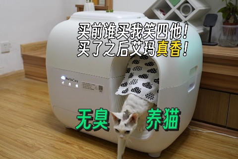 ŴѩԶèɰ裬֮ǰ˭Ц֮㣡