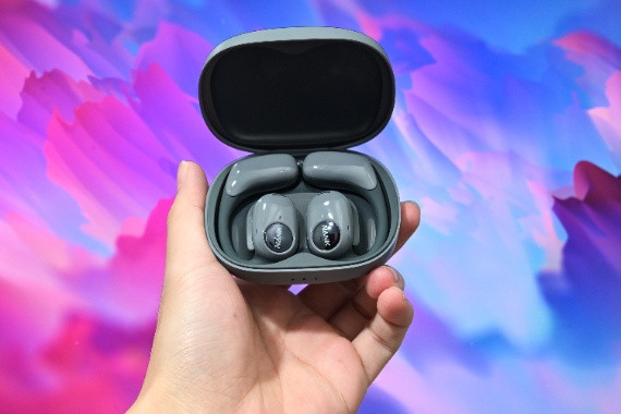 콢飬ϿOE Pro2ʽ
